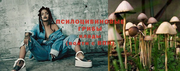 а пвп мука Абаза