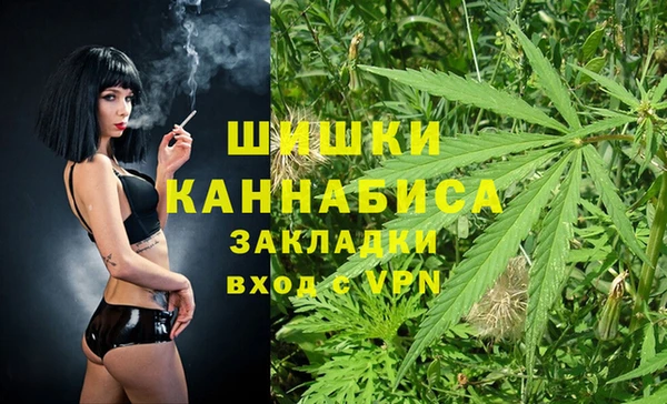 бошки Алексин