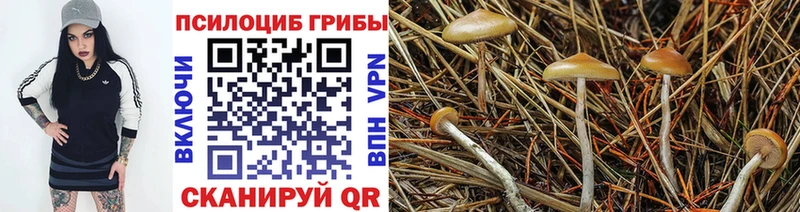 Псилоцибиновые грибы ЛСД Оренбург